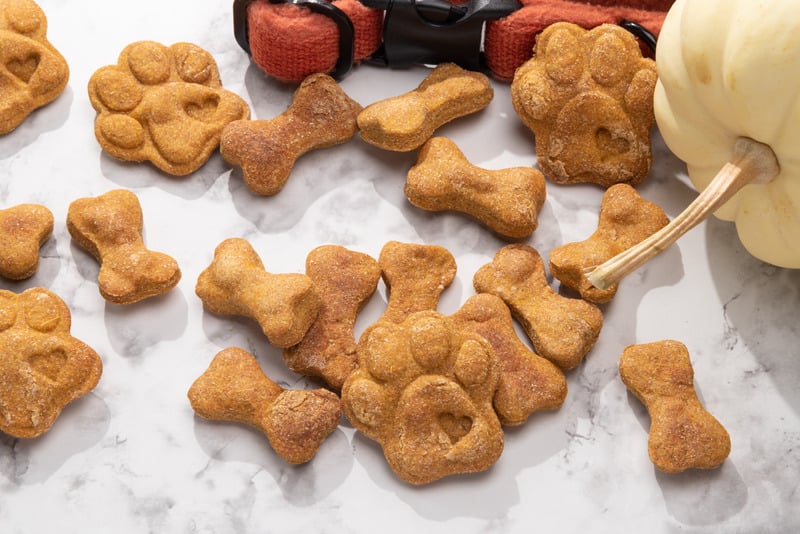 The PET & DOG LOVERS BUNDLE by Digital Enterprise includes pumpkin-shaped and bone-shaped treats on a marble surface, accompanied by a red dog collar and a decorative white pumpkin.