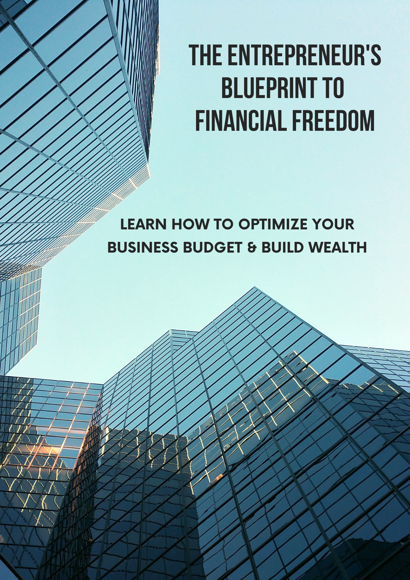 THE ENTREPRENEUR'S BLUEPRINT TO FINANCIAL FREEDOM